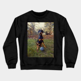 Lets Play Ball Crewneck Sweatshirt